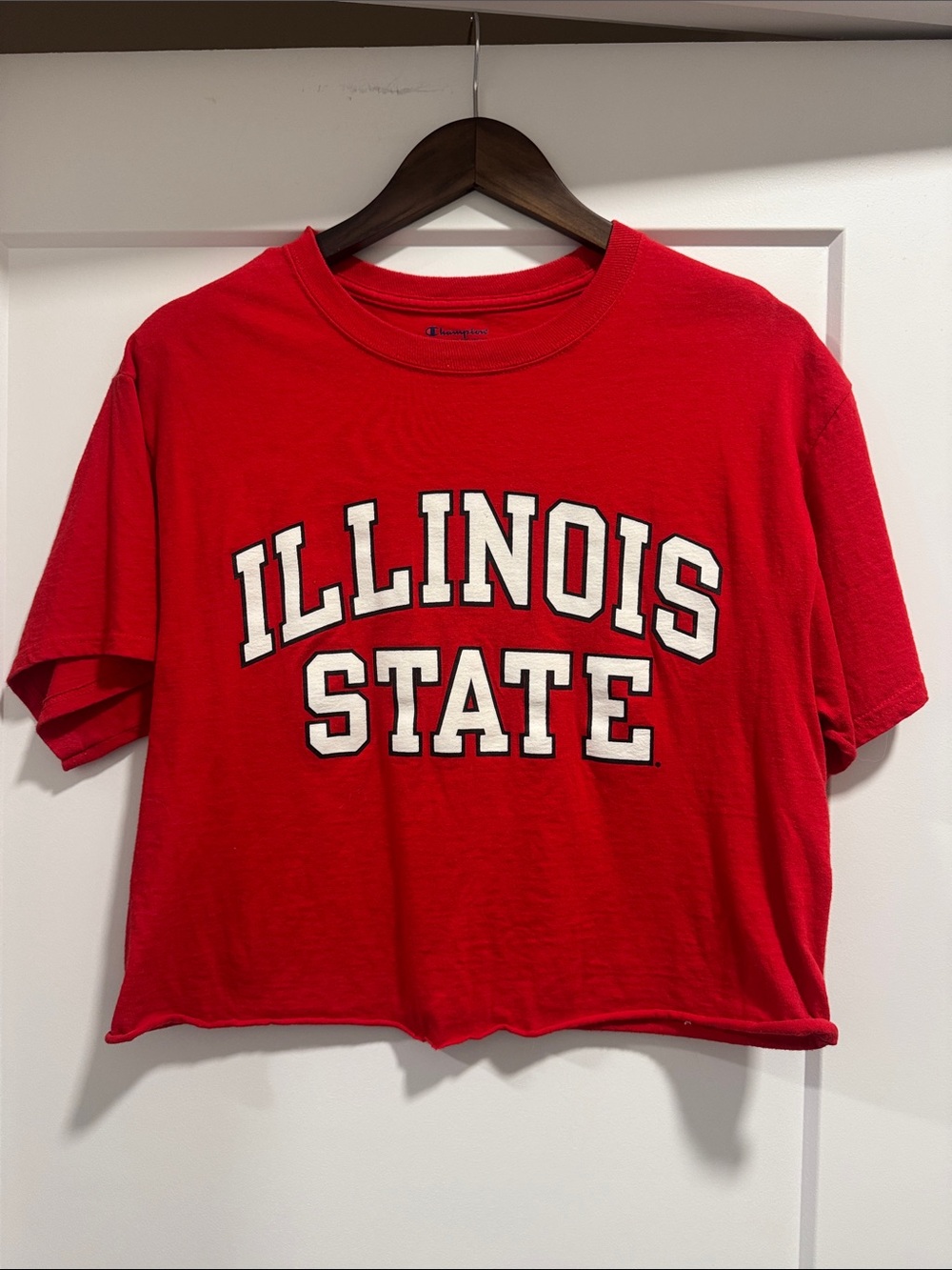 Champion Red Illinois State Graphic Tee - cropped